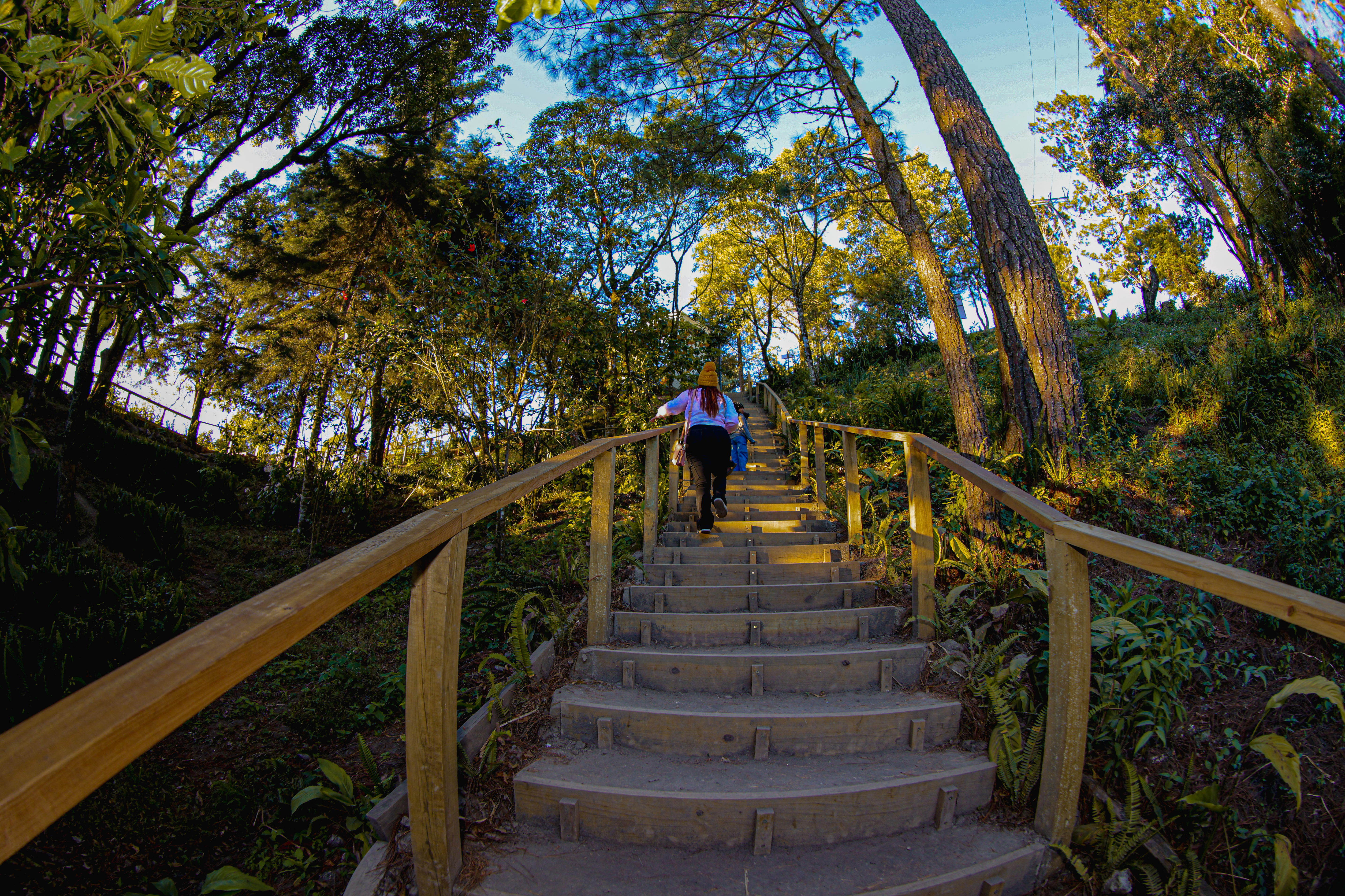 Photo from Parque Nacional El Boquerón